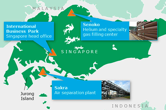 Singapore Capabilities Map